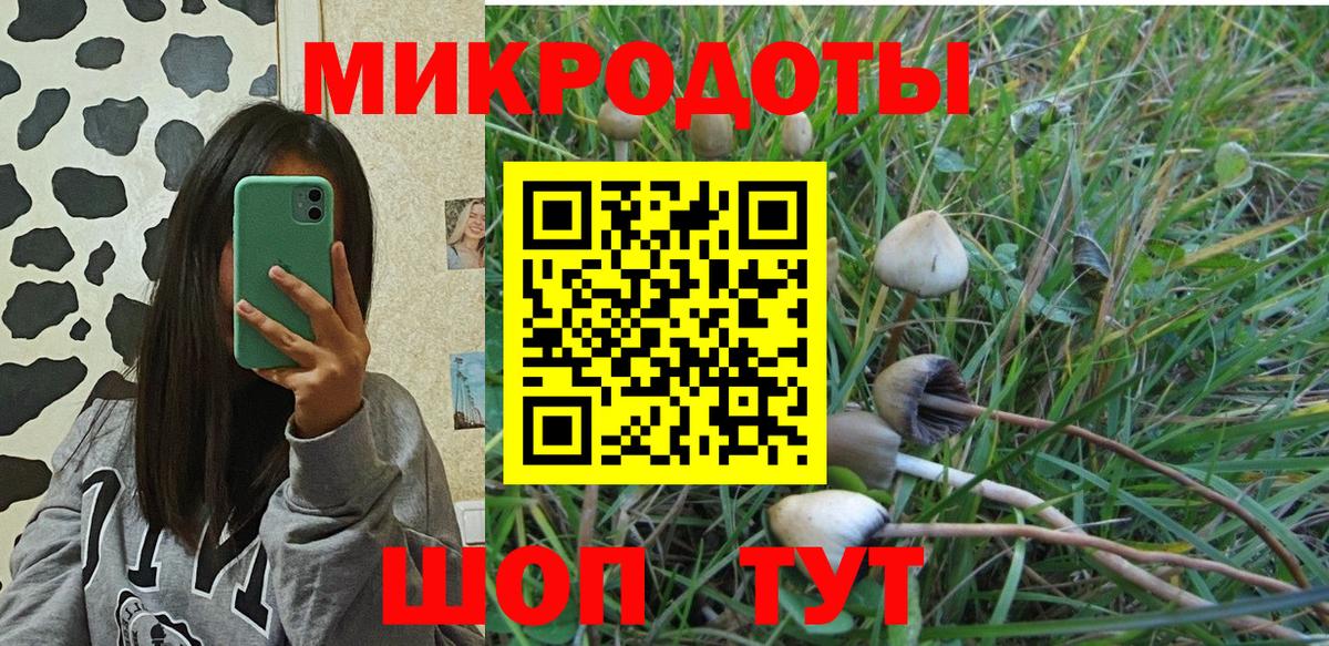 Гашиш Канск