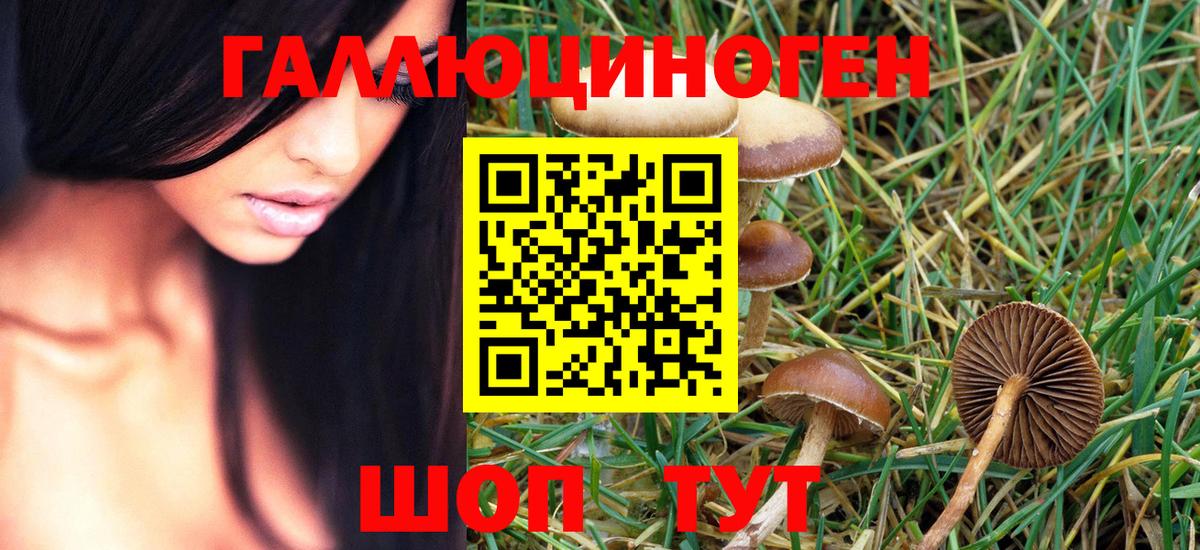 Псилоцибиновые грибы Magic Shrooms Канск