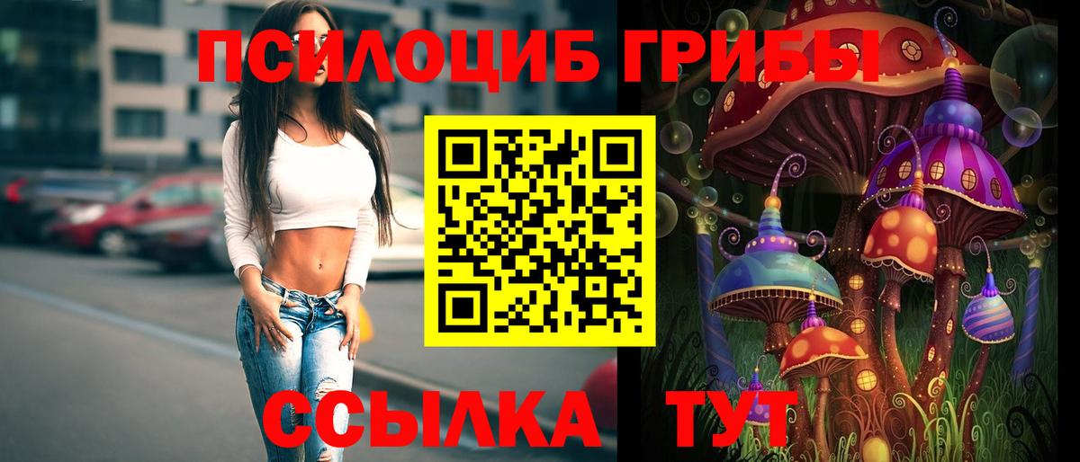 Псилоцибиновые грибы мухоморы  Вход с VPN  Псилоцибиновые грибы мухоморы  Канск 